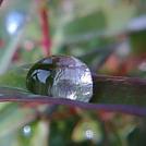 up close shot of a water droplet