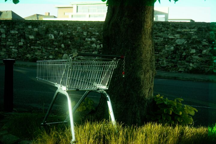 An abandoned trolley against a tree